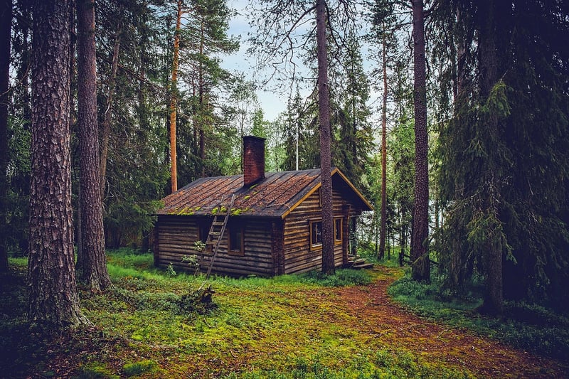Woodland Cabin